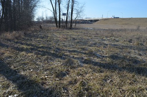 Property photo 26 - East Allen County - 55 Acre Land Auction